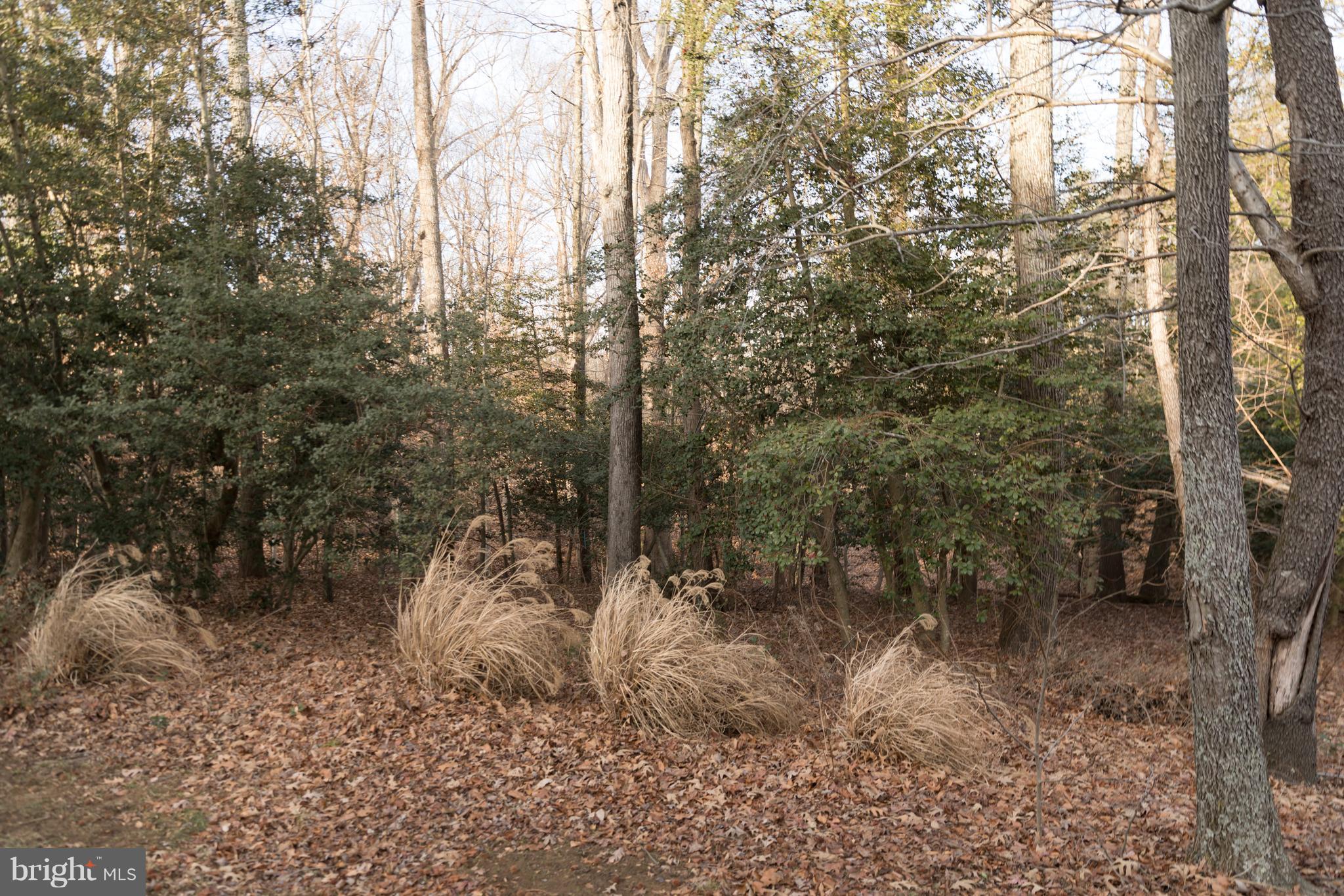 PRESERVE AT BROAD CREEK - Residential Lease