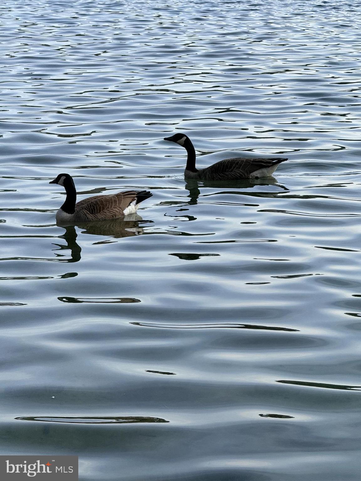 STONE LAKE - Residential