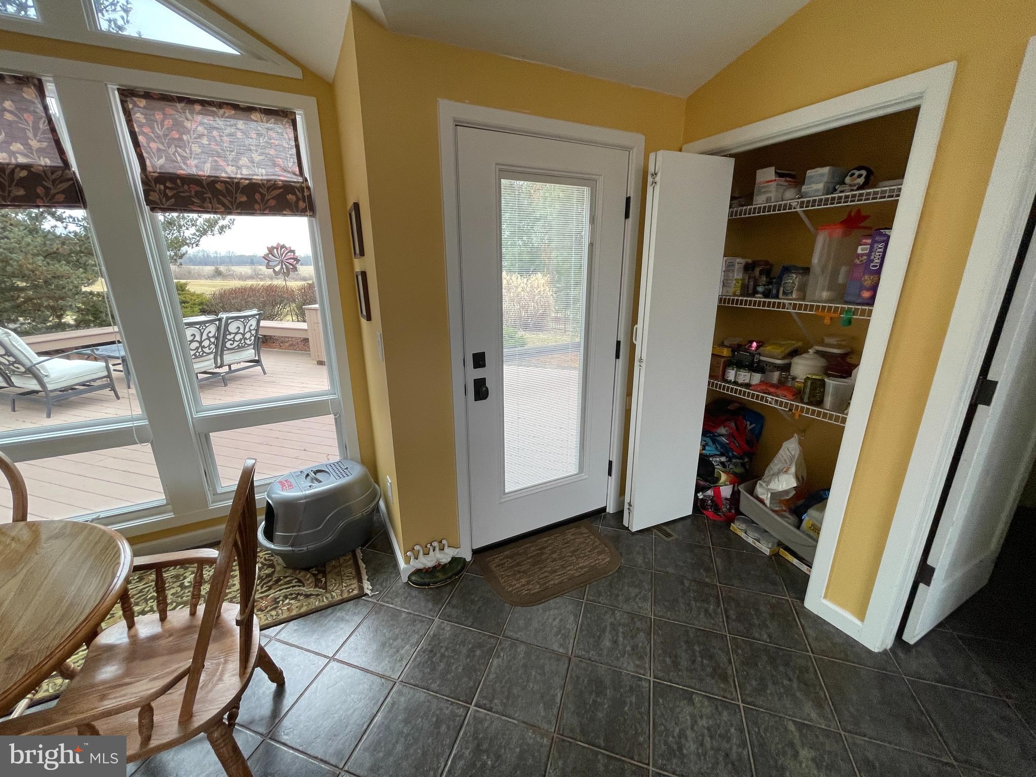 ELEPHANT - Residential