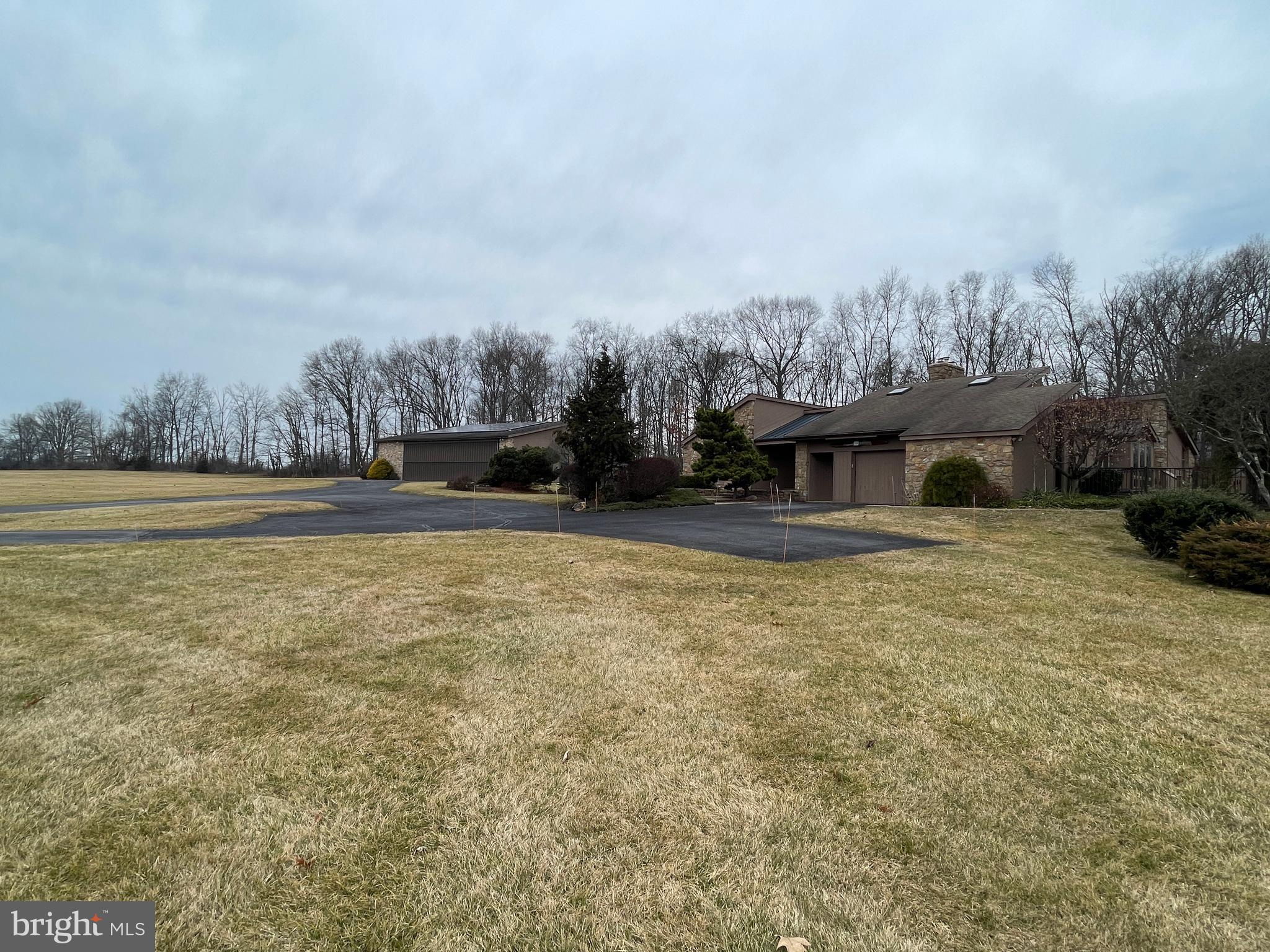 ELEPHANT - Residential