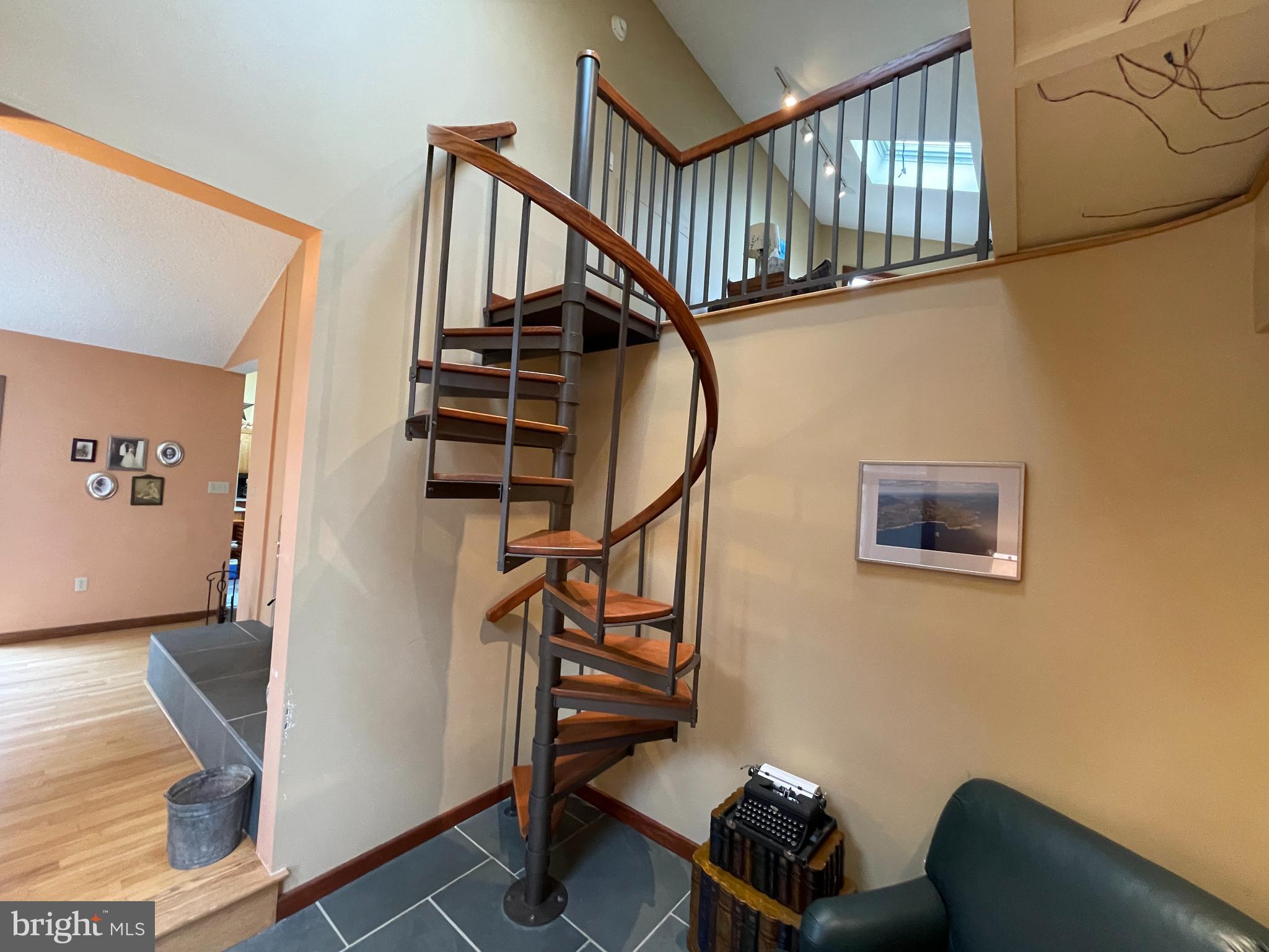 ELEPHANT - Residential