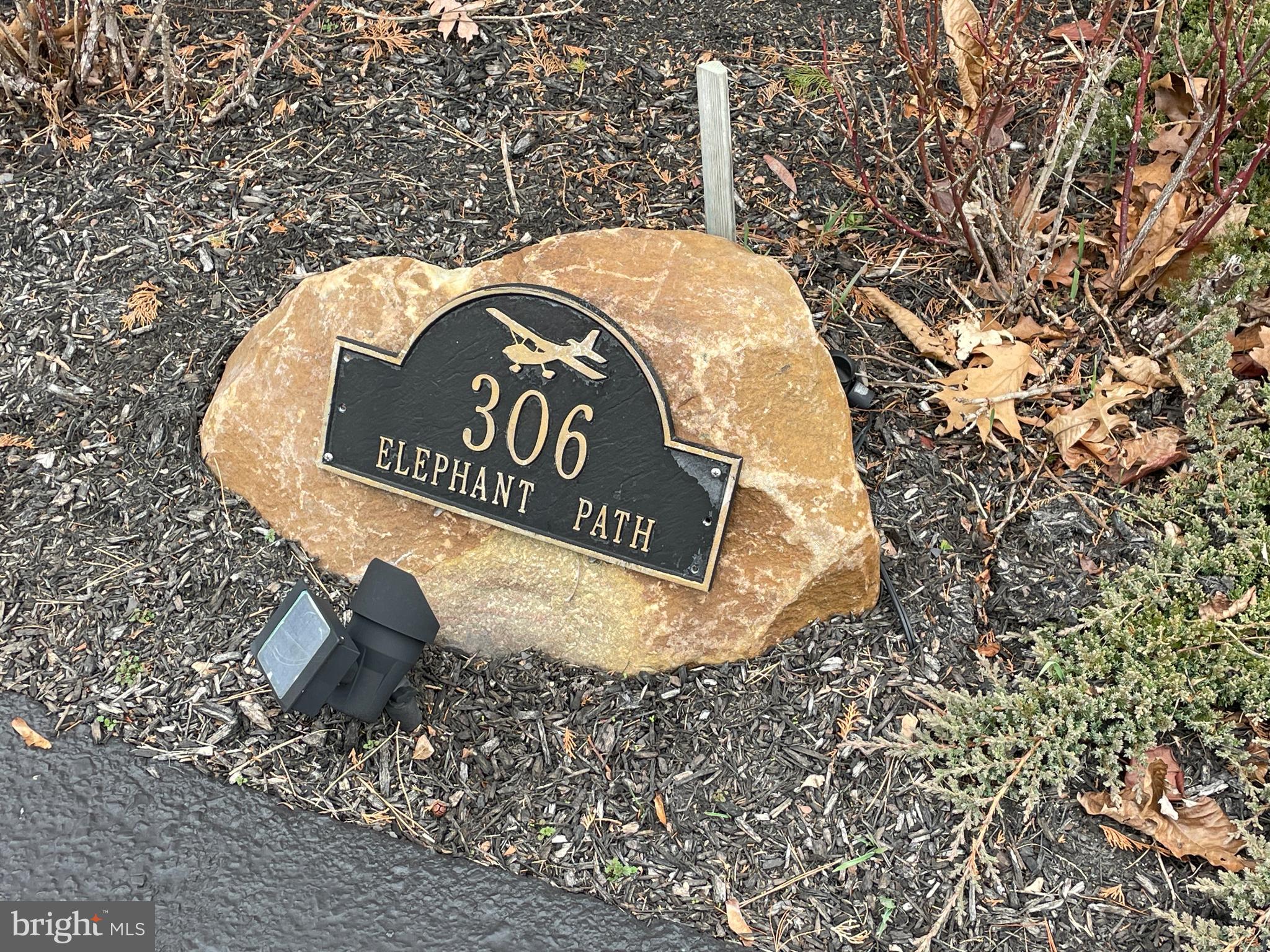 ELEPHANT - Residential