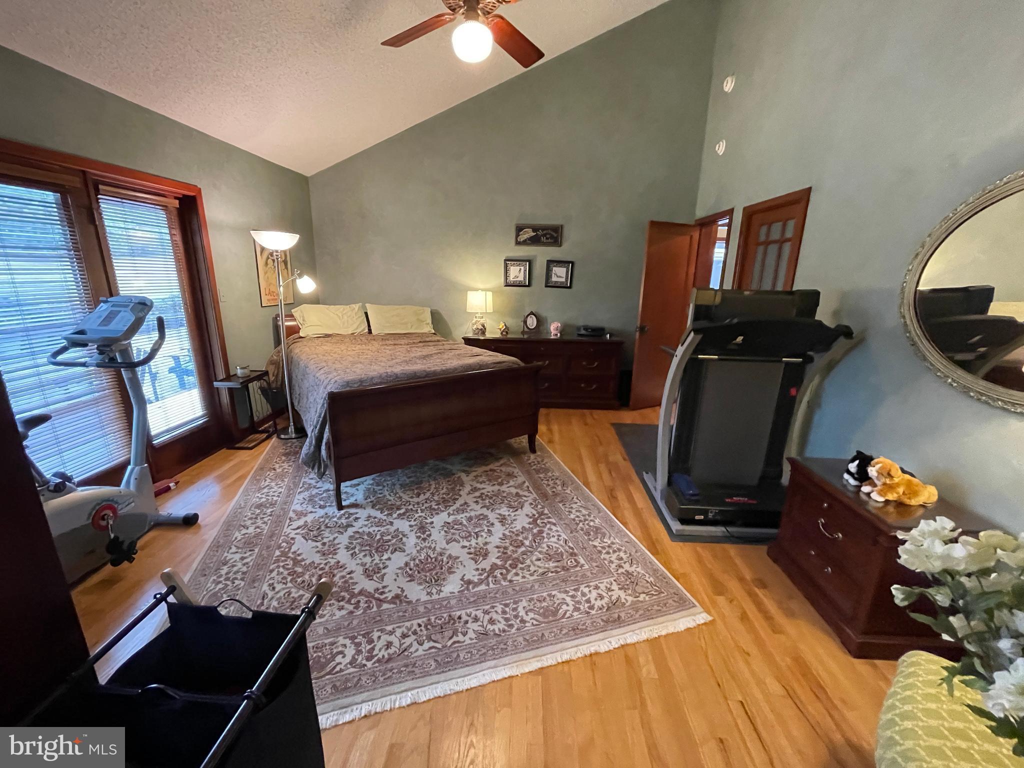 ELEPHANT - Residential