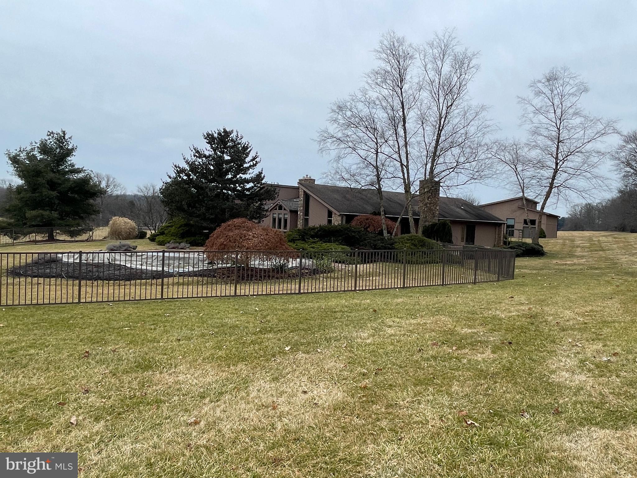 ELEPHANT - Residential