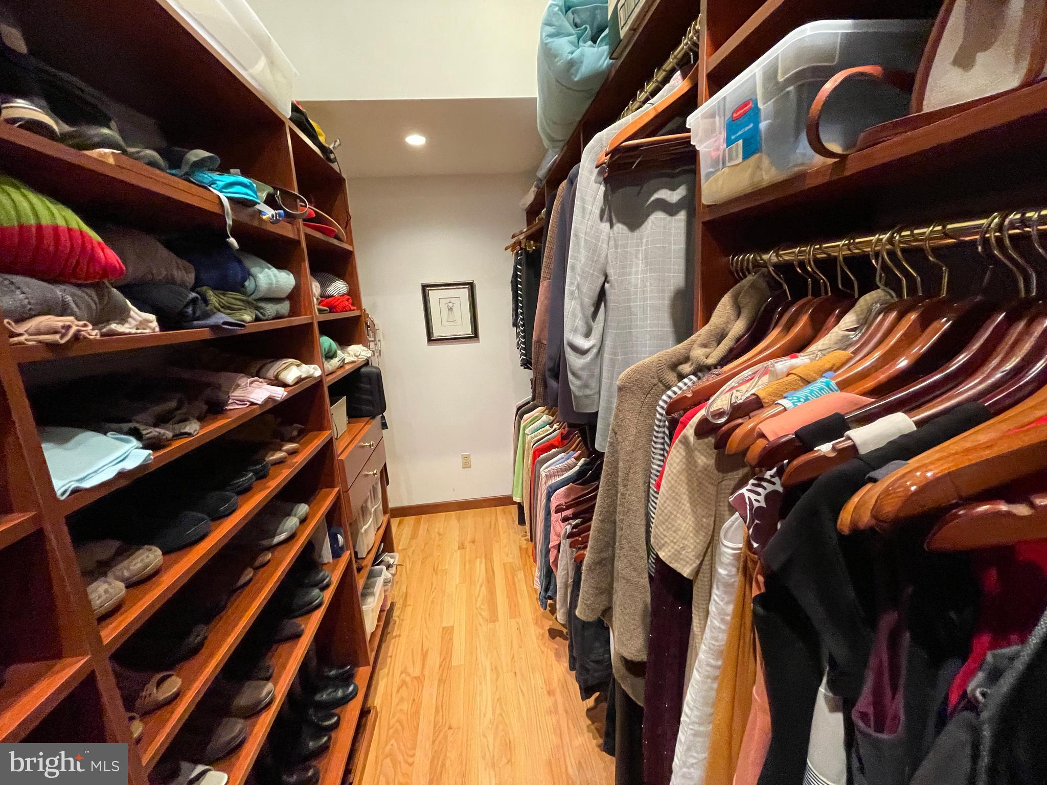 ELEPHANT - Residential