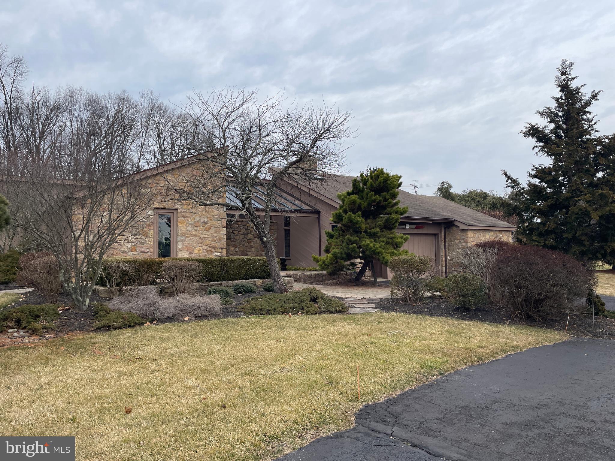 ELEPHANT - Residential