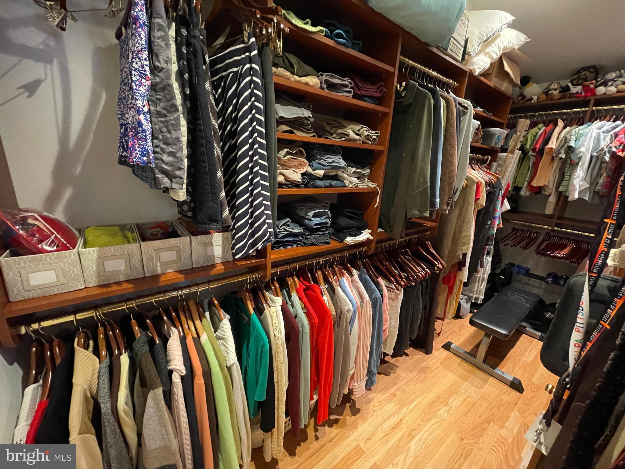 ELEPHANT - Residential