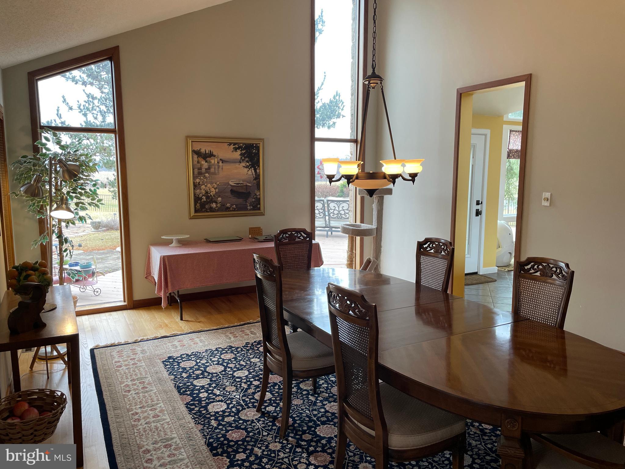 ELEPHANT - Residential