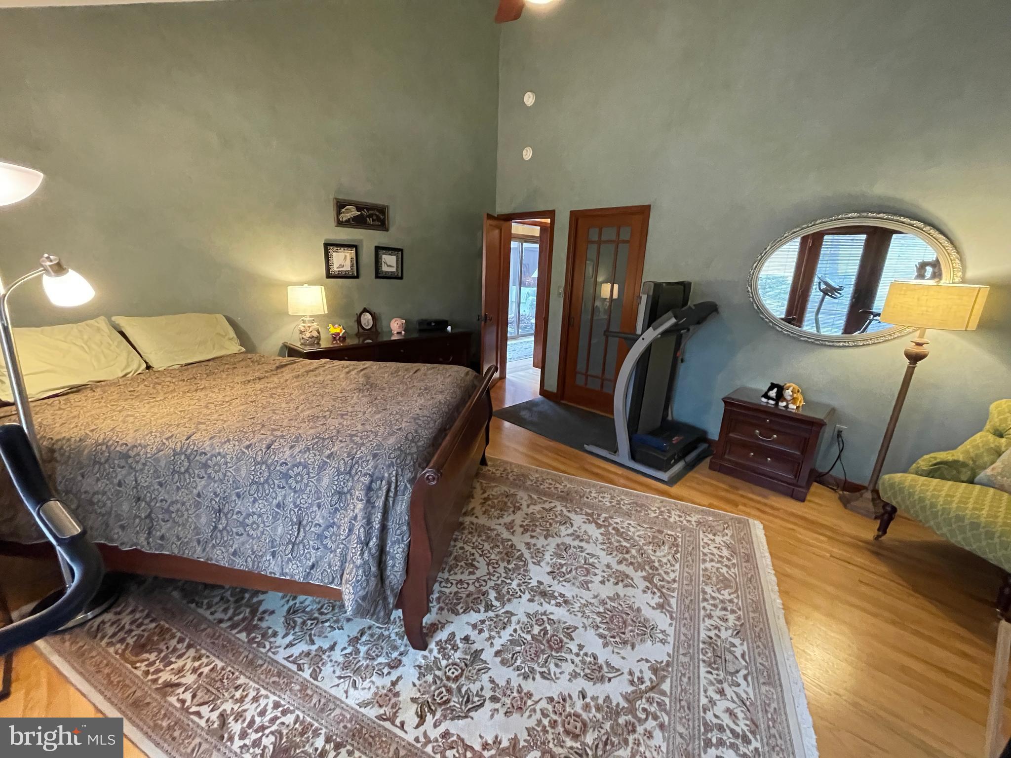 ELEPHANT - Residential