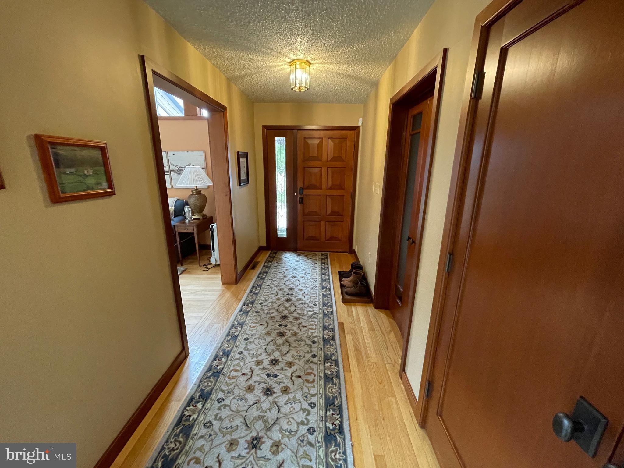 ELEPHANT - Residential