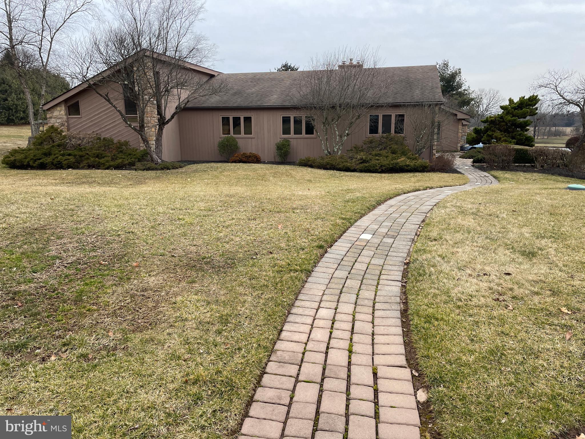 ELEPHANT - Residential