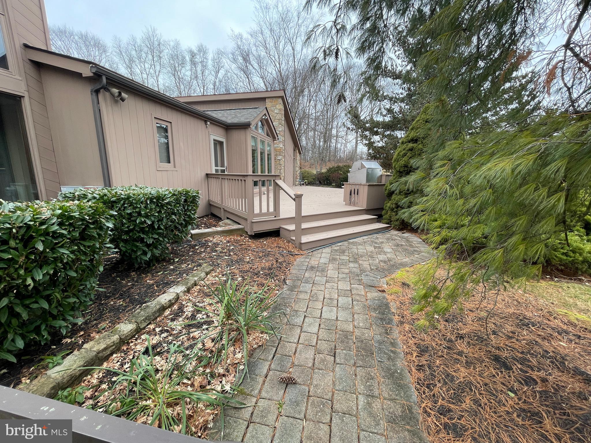 ELEPHANT - Residential