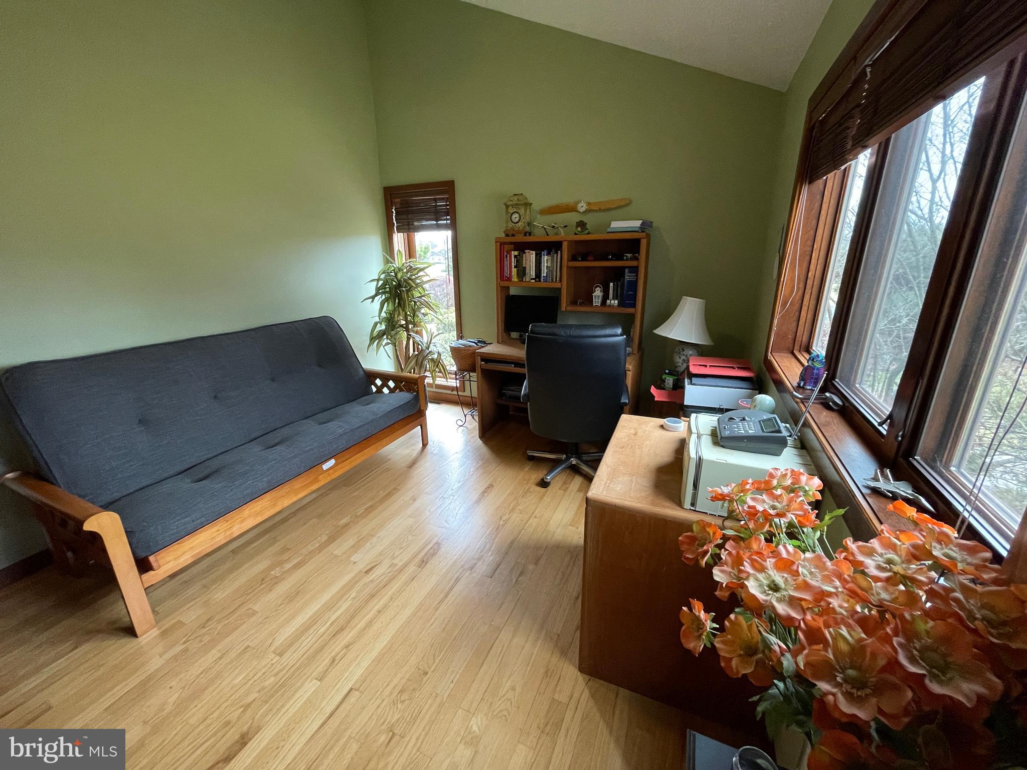 ELEPHANT - Residential