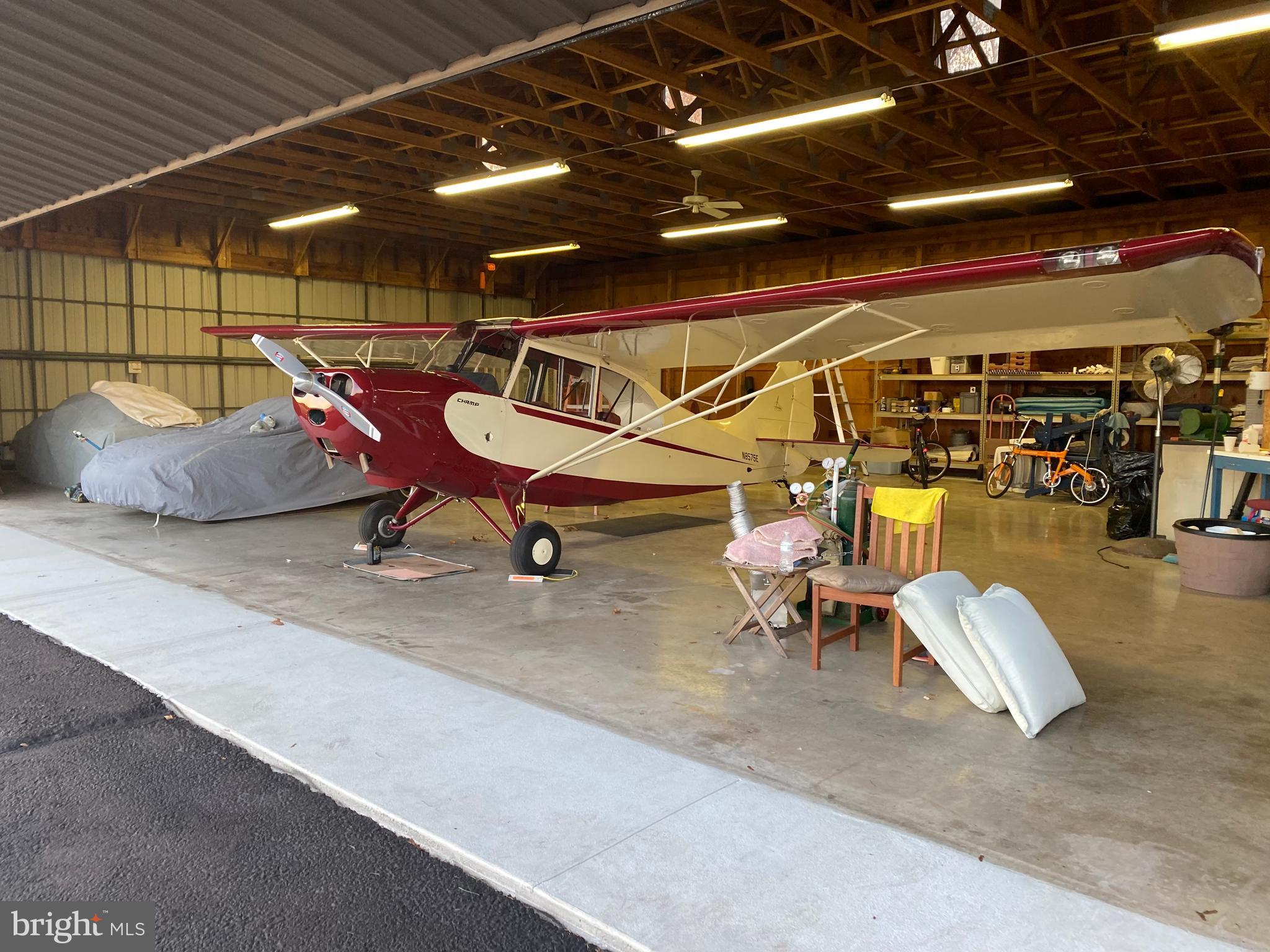 ELEPHANT - Residential