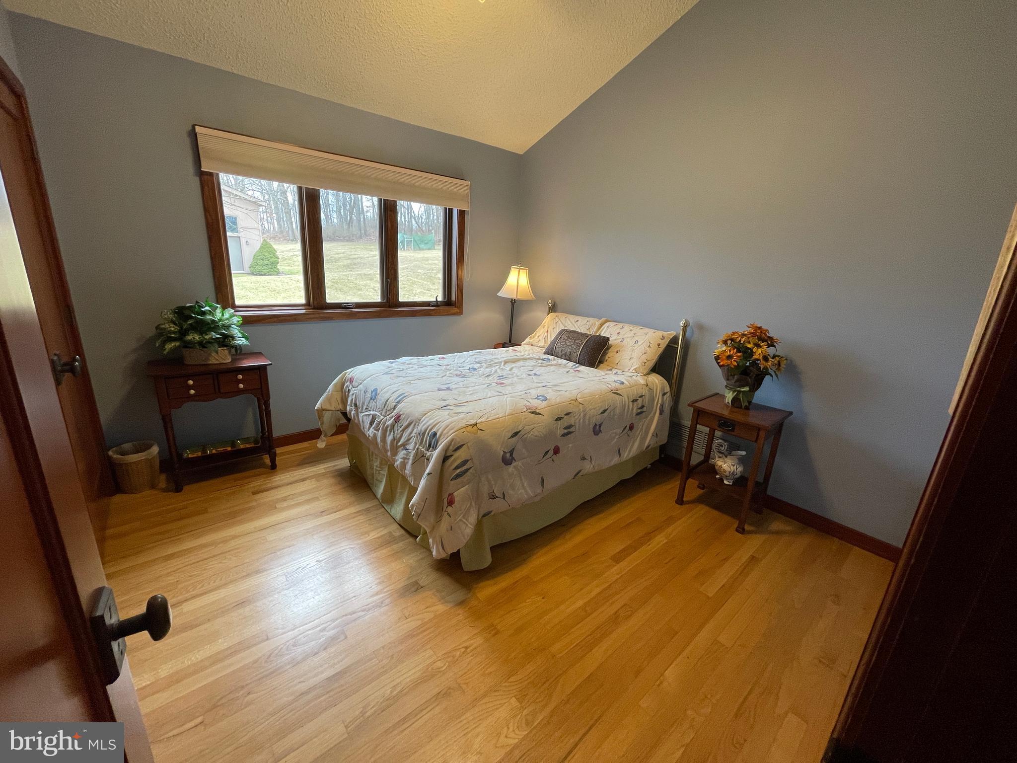 ELEPHANT - Residential