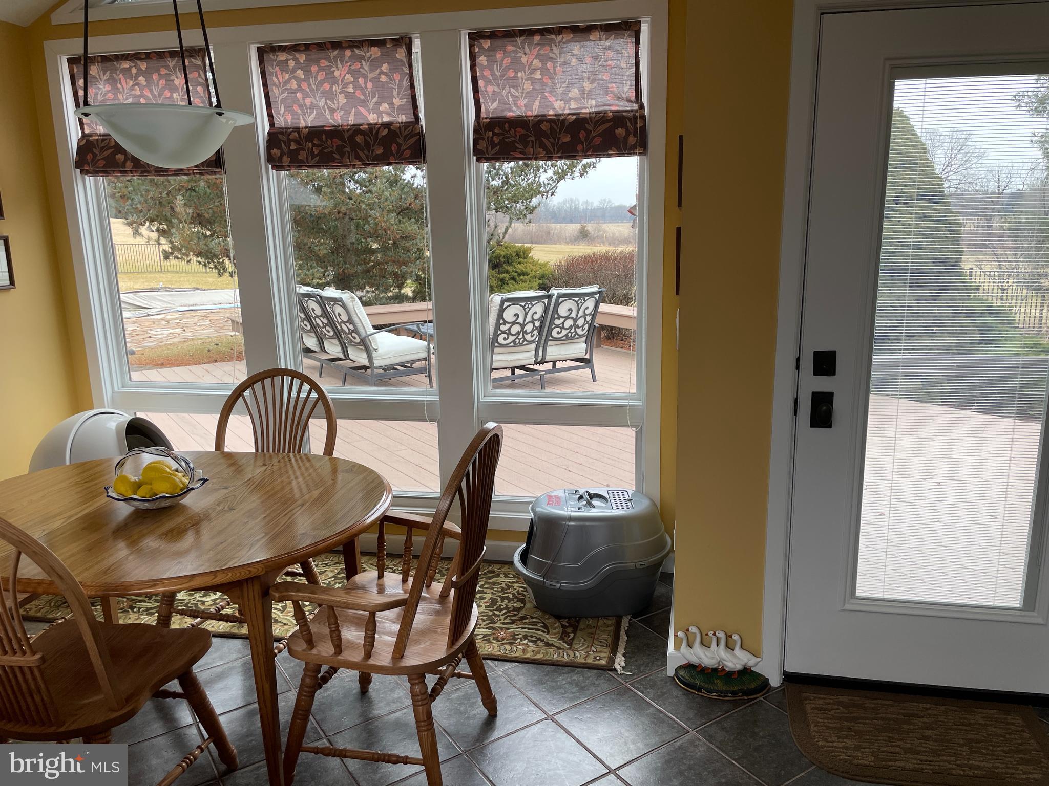 ELEPHANT - Residential