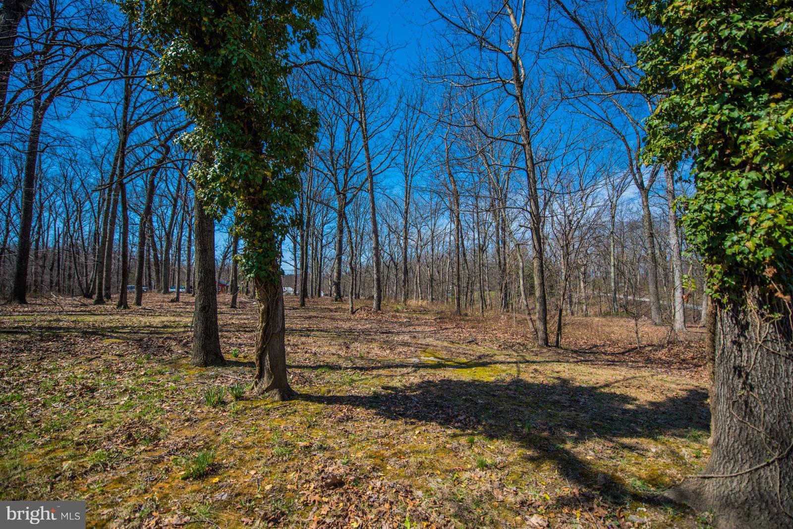 RIVER VIEW PARK - Residential