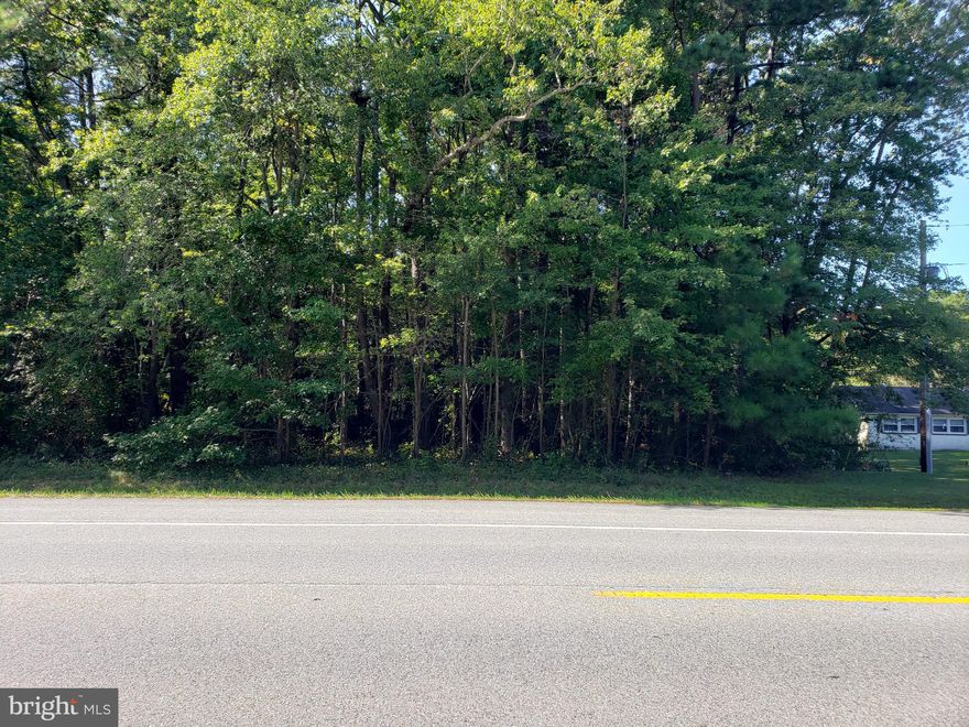 Nearly four (4) acres on Three Notch Road in Dameron, MD.  Located approximately one quarter mile north of Trapp Road.  Perc approved.  Sign on property.