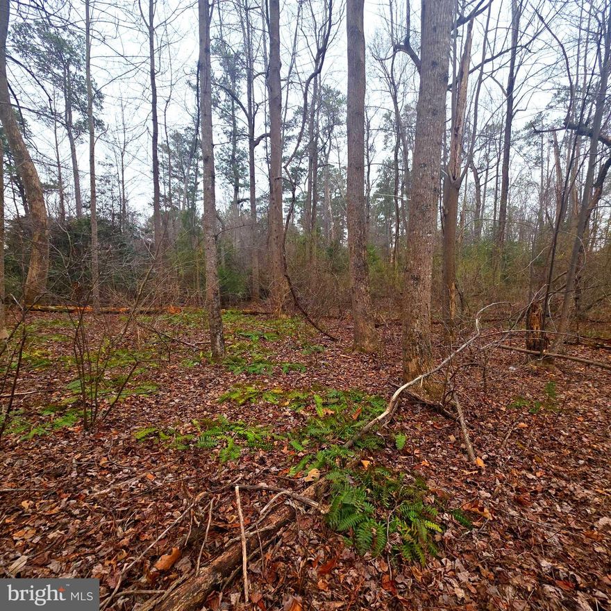 Exceptional opportunity to build your dream home on this spacious waterfront community lot in the highly desirable Corrotoman By The Bay subdivision in Lancaster, VA. This offering consists of Parcel #20D-3-134, one of three connected parcels totaling prime residential land in a vibrant, amenity-rich community. Located just minutes from scenic water access and charming Northern Neck towns like Kilmarnock and Irvington, this property combines peaceful rural living with recreational lifestyle convenience.

Corrotoman By The Bay is a well-established, waterfront community along the Western Branch of the Corrotoman River that offers a wide array of recreational and social amenities for residents in good standing. Community highlights include a large 80,000-gallon saltwater swimming pool, clubhouse with pavilion and common grounds, 9-hole golf course, tennis/pickleball courts, frisbee golf, and more. A boat ramp, dock with boat slip rentals, and kayak rack rentals provide excellent access to the Corrotoman River — ideal for fishing, boating, crabbing, and exploring the Chesapeake Bay waterways.

Enjoy the best of water living with active community features such as tennis and pickleball courts, park and playground areas for family fun, and regular community events. With community water available and natural surroundings teeming with wildlife and scenic views, this lot presents a rare chance to build a custom home in a setting that offers both tranquility and lifestyle amenities.

Seller Incentive: Seller will include tree clearing to the buyer, making this lot ready for your vision and building plans.

Don’t miss this chance to secure a prime piece of Corrotoman By The Bay — where community amenities, waterfront lifestyle, and natural beauty come together.