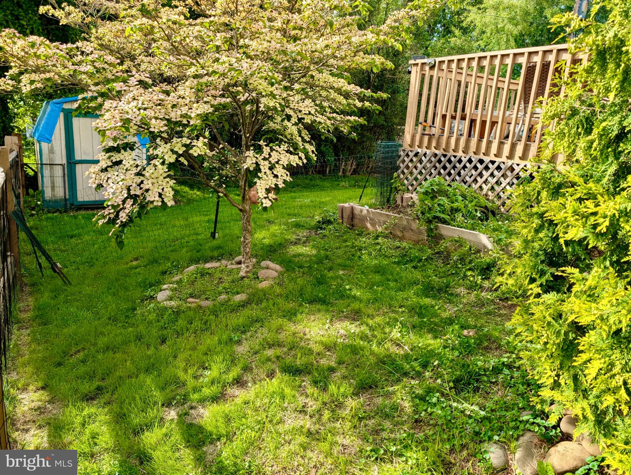 CHESTNUT CROSSING - Residential