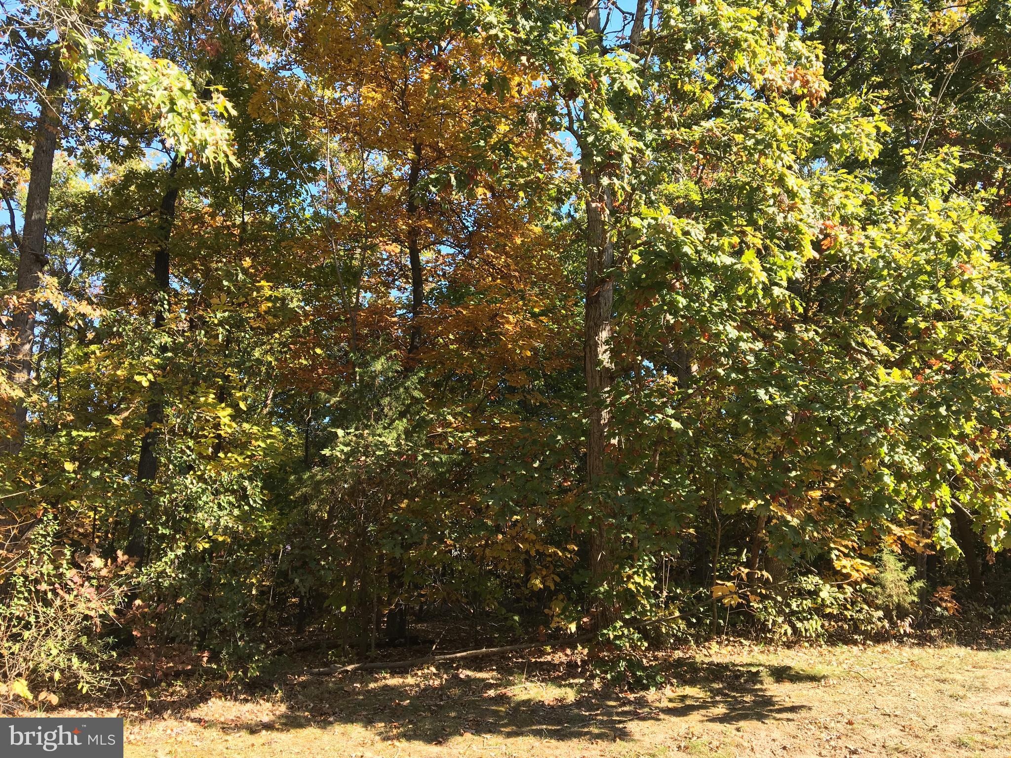 ROCKPOINTE - Residential Lease