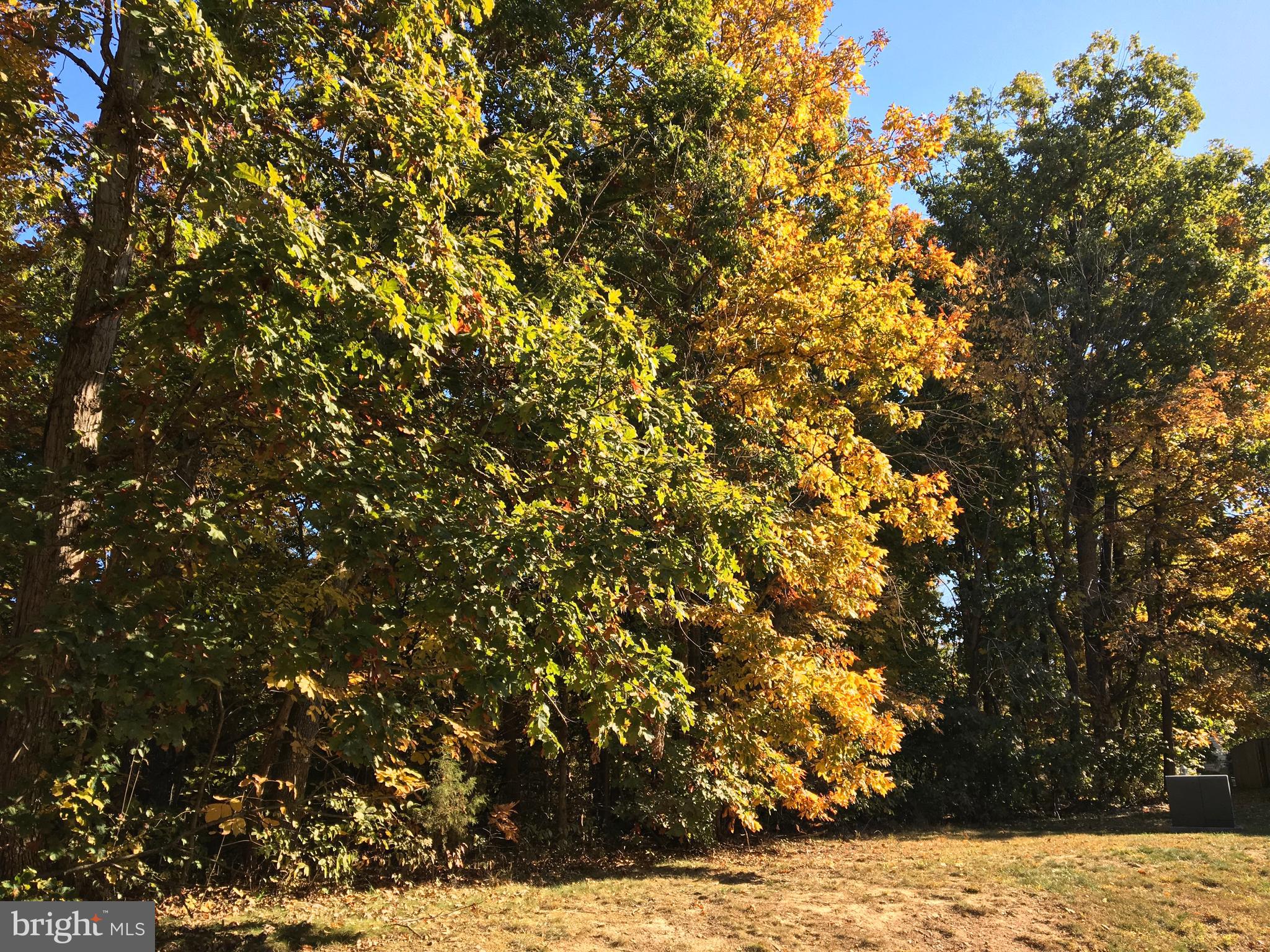 ROCKPOINTE - Residential Lease