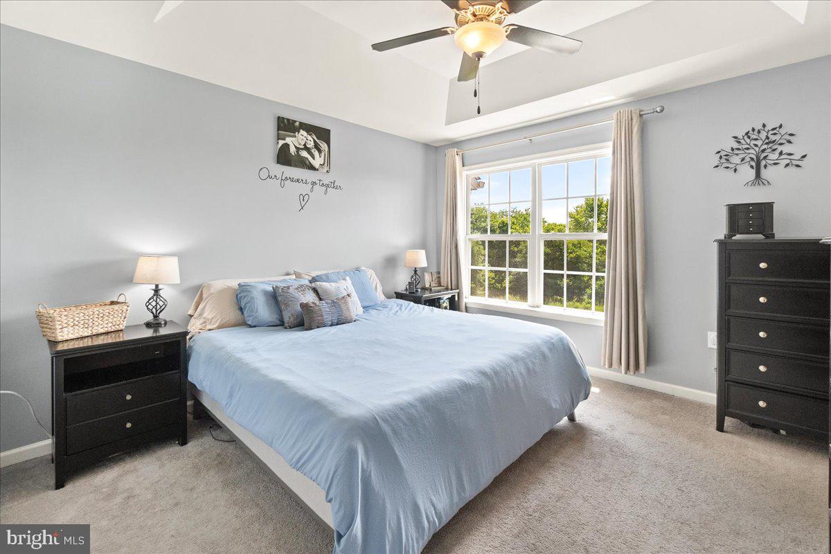 HAMMONDS MILL - Residential