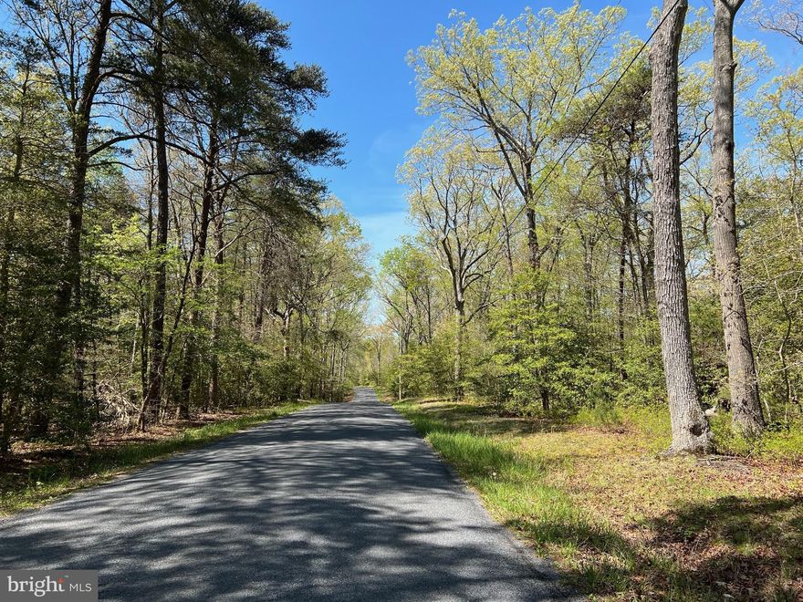 It sounds like Lot 2 on Wathen Road offers a fantastic opportunity for someone looking to build their dream home in a secluded, wooded setting. This lot has 6 acres so  there's plenty of space to build your dream home.   Plus, the absence of HOA regulations or covenants gives you the freedom to customize your property to suit your preferences.

The fact that the perc test is already done for a mound septic system is a definite plus, as it provides clarity on one of the essential aspects of building a home.

Forest conservation easement.  

Considering that Lot 1 is also available for sale, there's potential for expanding your property or perhaps even purchasing it for investment purposes.

Overall, it seems like an attractive opportunity for anyone seeking tranquility and privacy while still being within reach of amenities.