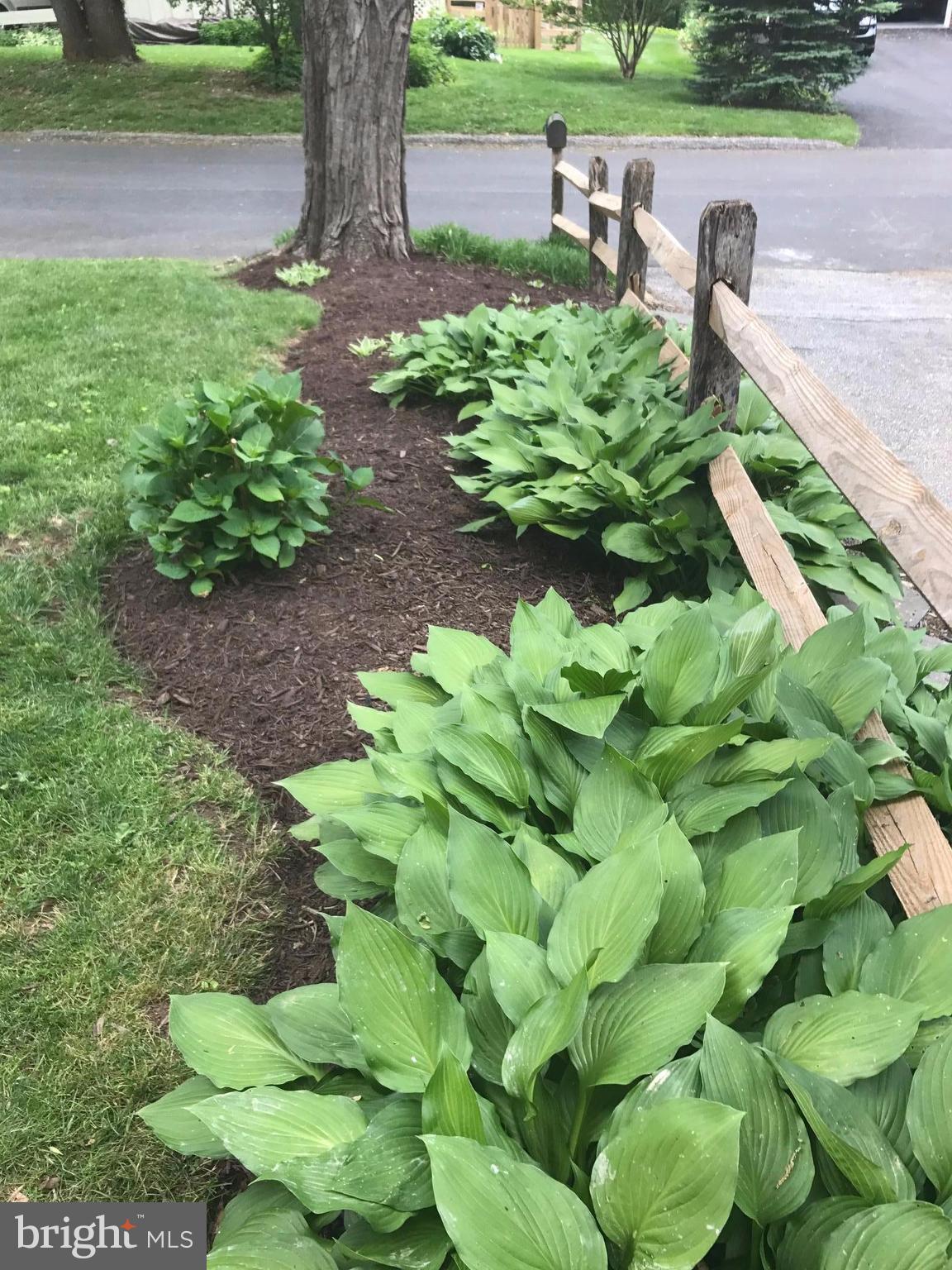 RIDERVALE - Residential