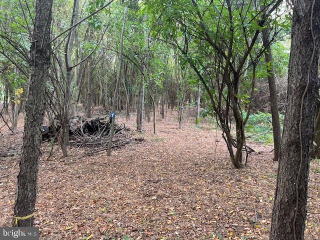 NONE AVAILABLE - Land