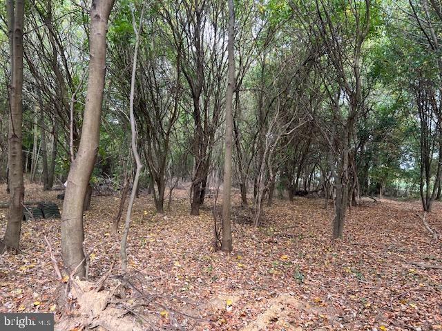 NONE AVAILABLE - Land