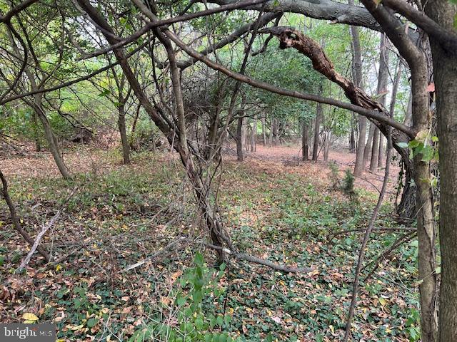 NONE AVAILABLE - Land