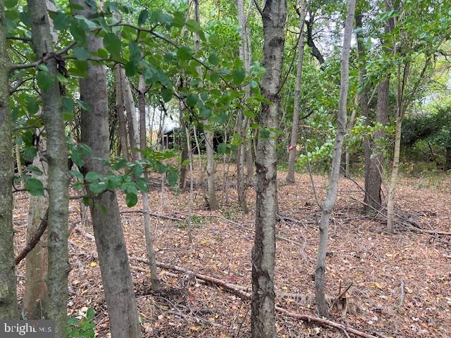 NONE AVAILABLE - Land