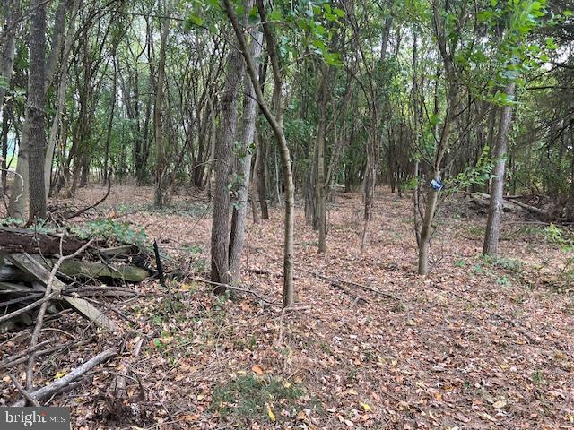 NONE AVAILABLE - Land