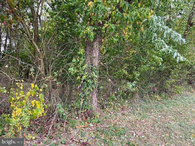 NONE AVAILABLE - Land