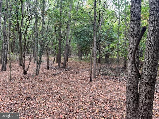 NONE AVAILABLE - Land