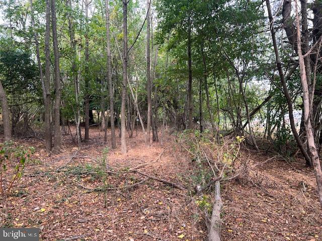 NONE AVAILABLE - Land