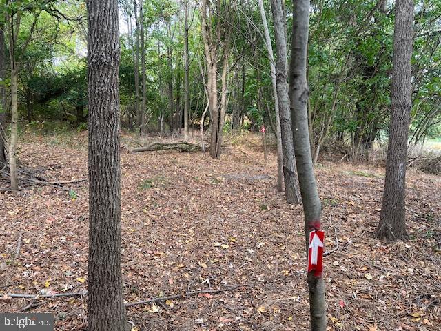 NONE AVAILABLE - Land