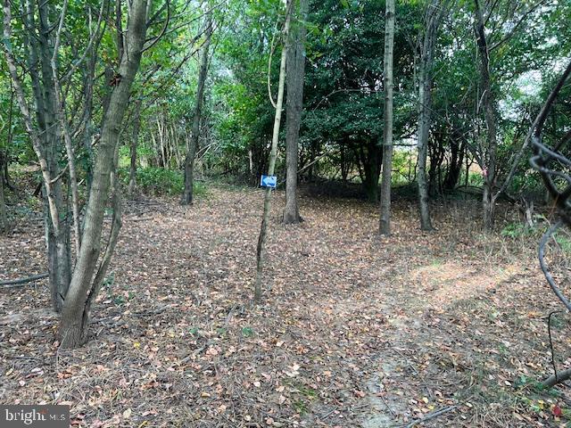 NONE AVAILABLE - Land