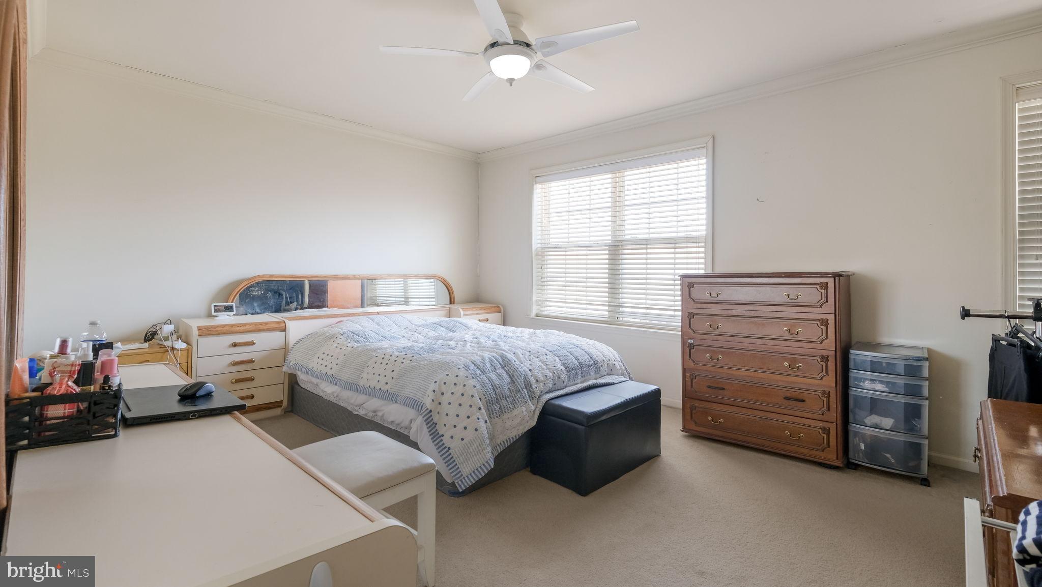 VERNON COURT - Residential