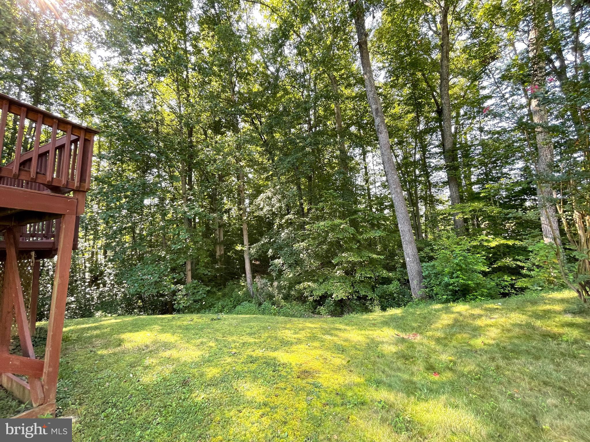 PLANTATION FOREST - Residential Lease