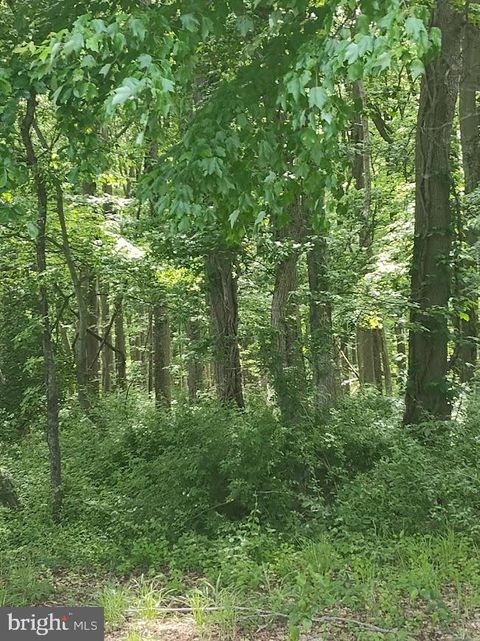 Vacant Land For Sale - Caulks Field Road<br/> Kent County, CHESTERTOWN, MD 21620