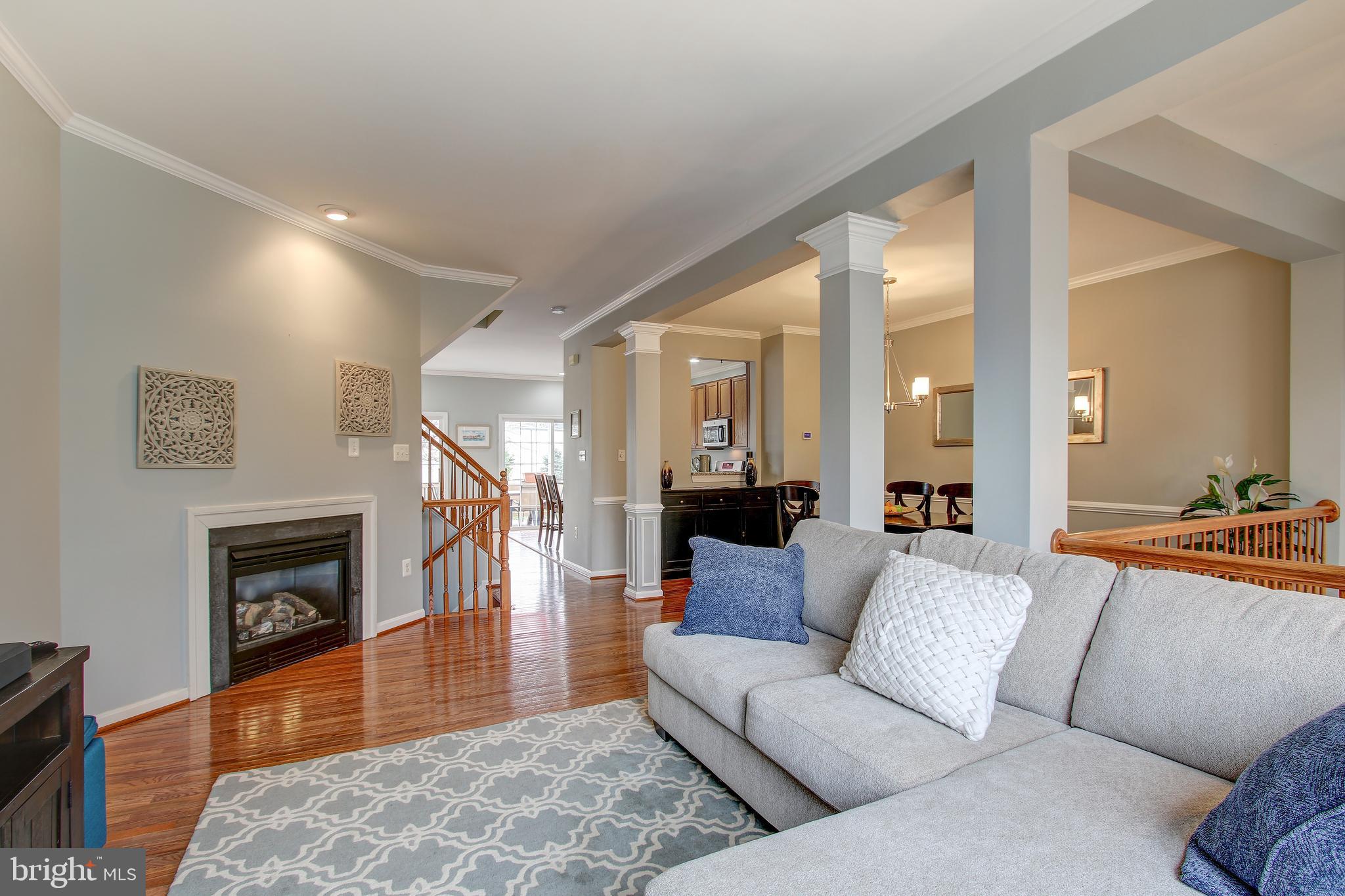 GREAT FALLS CHASE - Residential