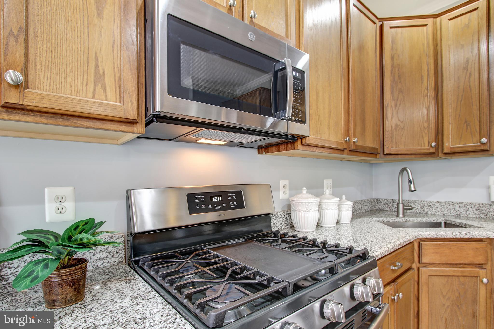 GREAT FALLS CHASE - Residential