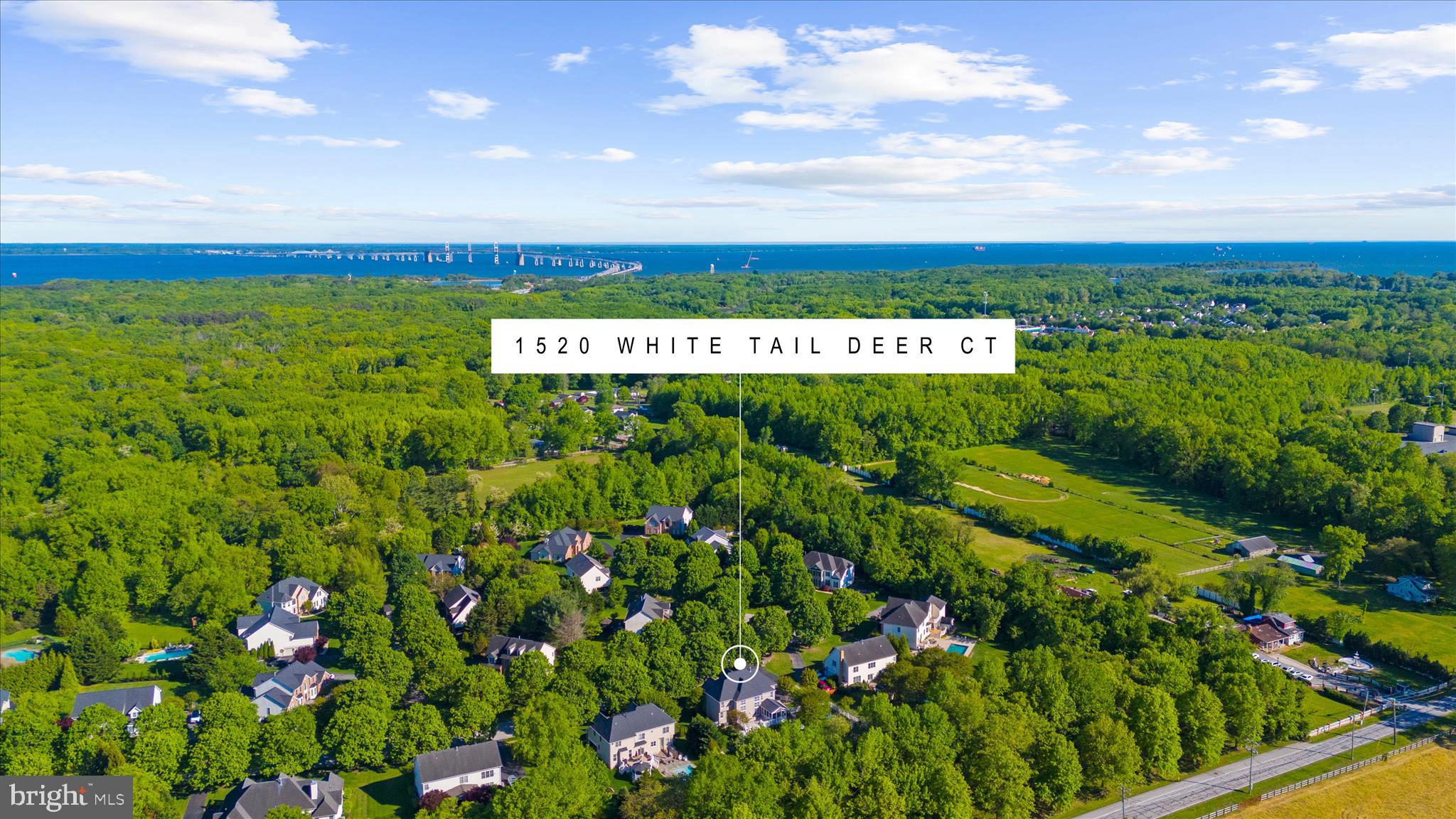 CHESAPEAKE PRESERVE - Residential