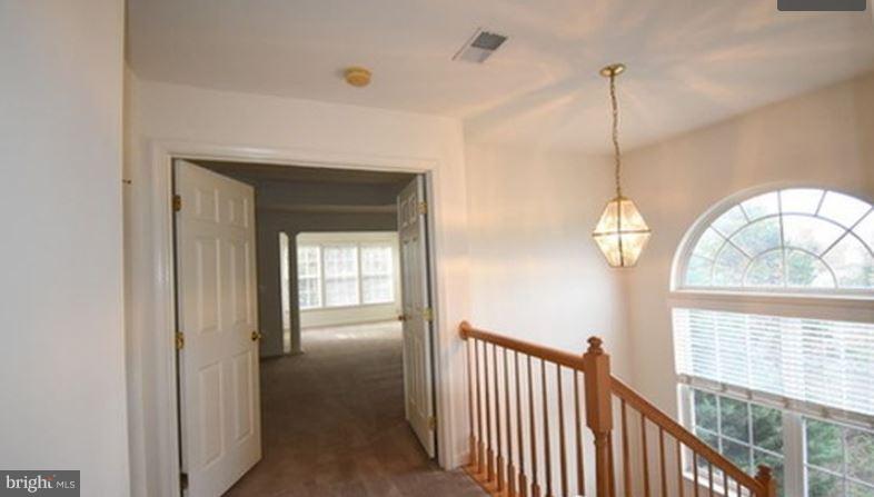 DENTON TERRACE - Residential Lease