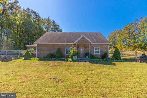 32106 LYNCH ROAD SELBYVILLE DE 19975