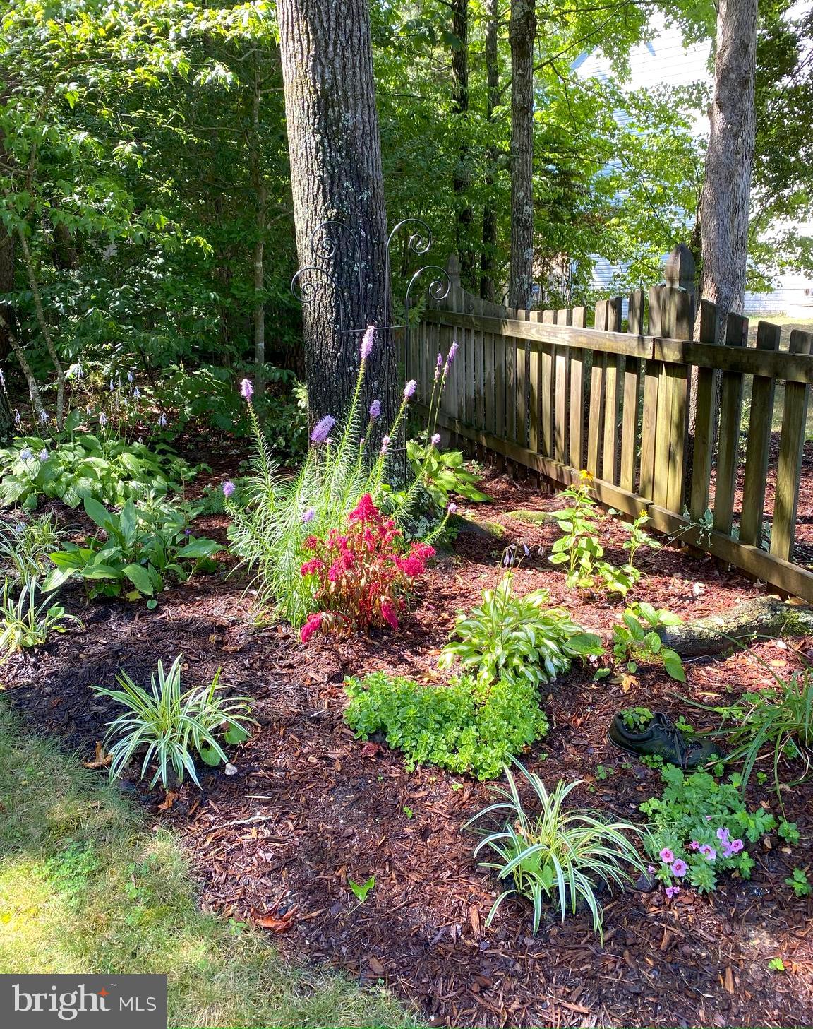 KINGSWOOD - Residential