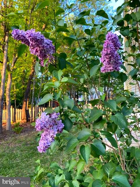 KINGSWOOD - Residential