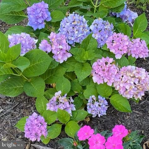 KINGSWOOD - Residential